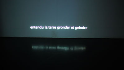 Écran vidéo, photo de l'installation de Sara Millot intitulée Graceland